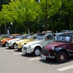 ずらりと並んだ2CV。チャールストン、スペシアルが多かった